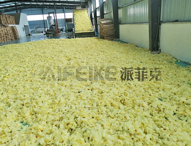 黃秋葵網(wǎng)帶式烘干機